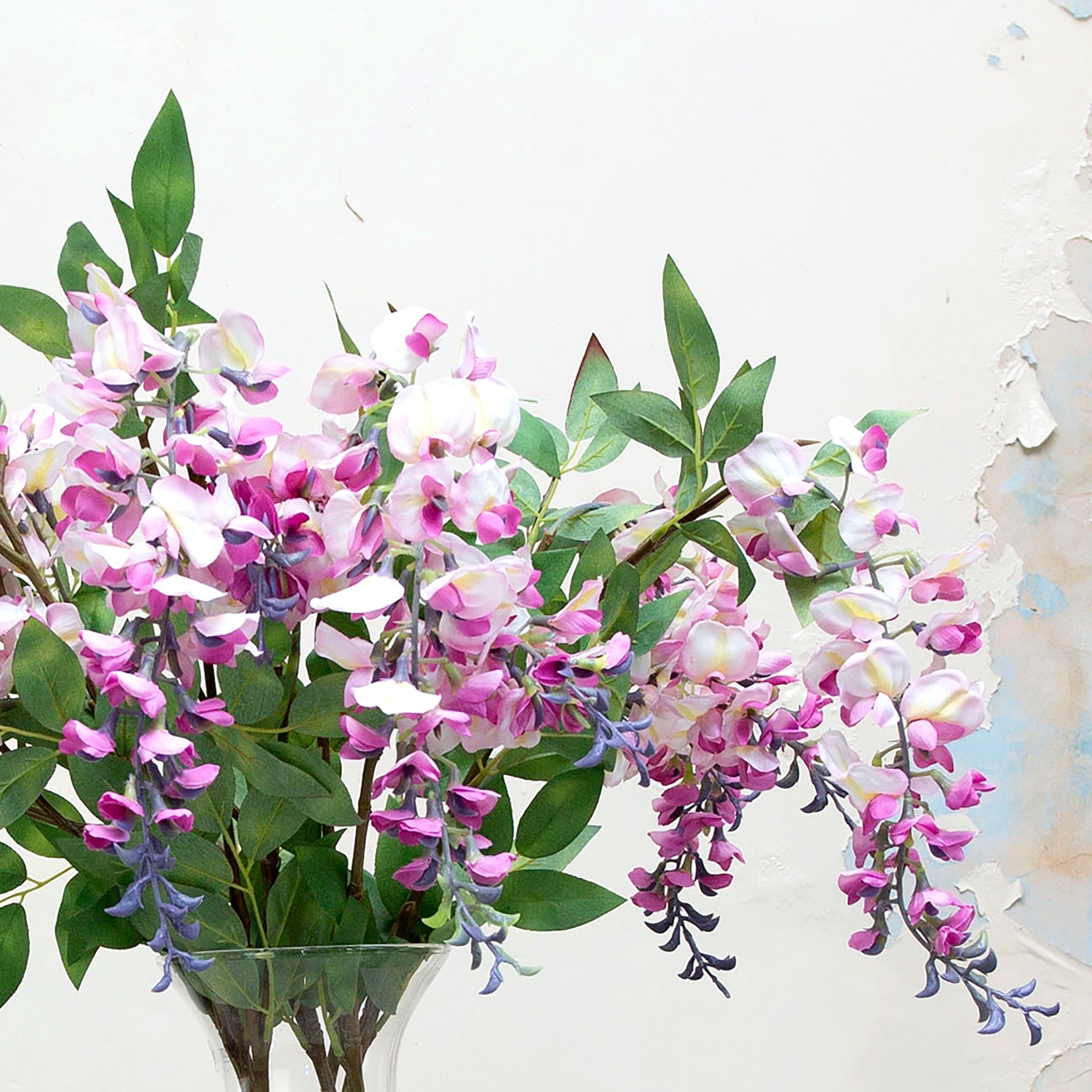 Long stem of romantic lavender wisteria with leaves. Peony