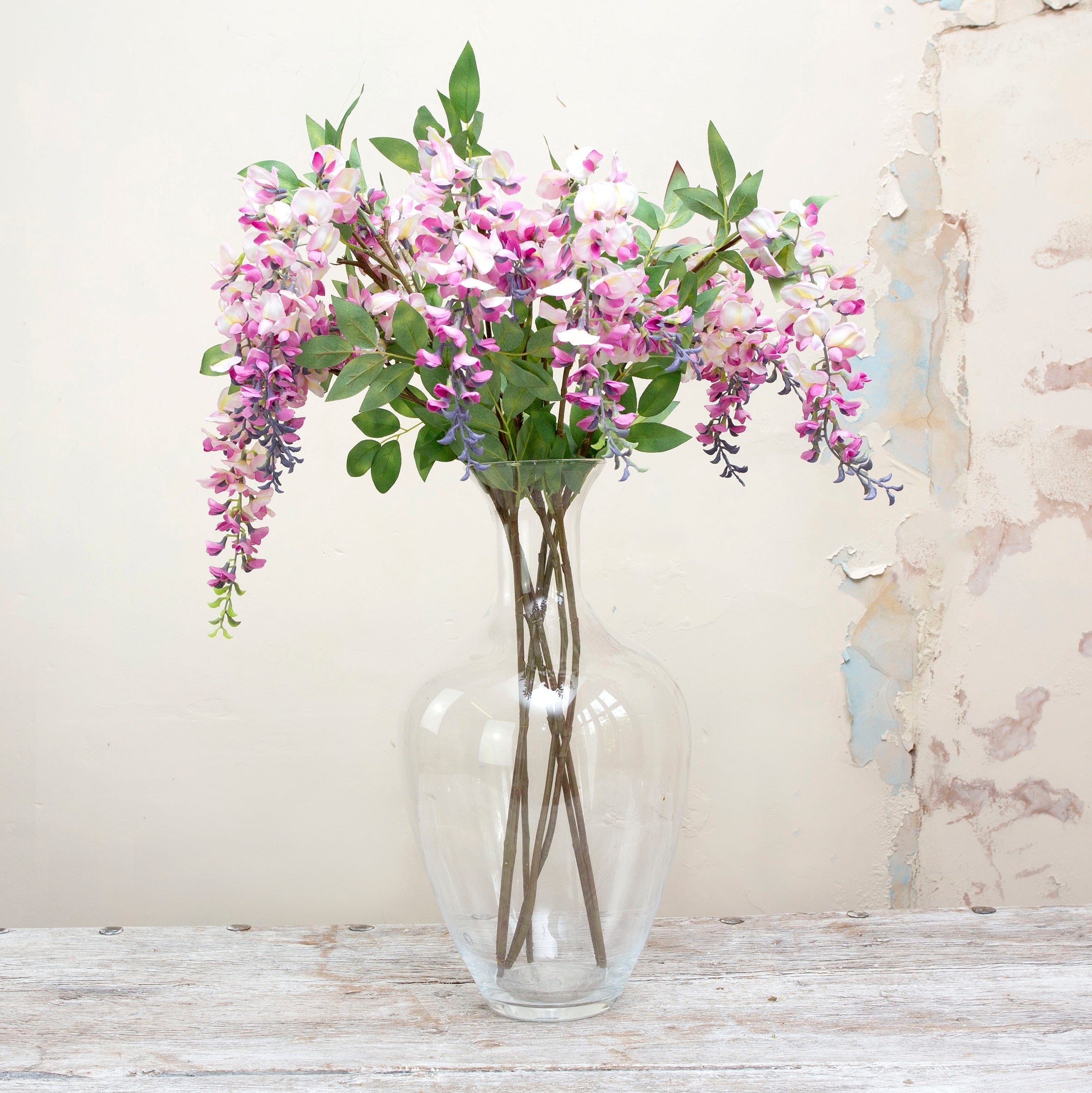 Long stem of romantic lavender wisteria with leaves. Peony