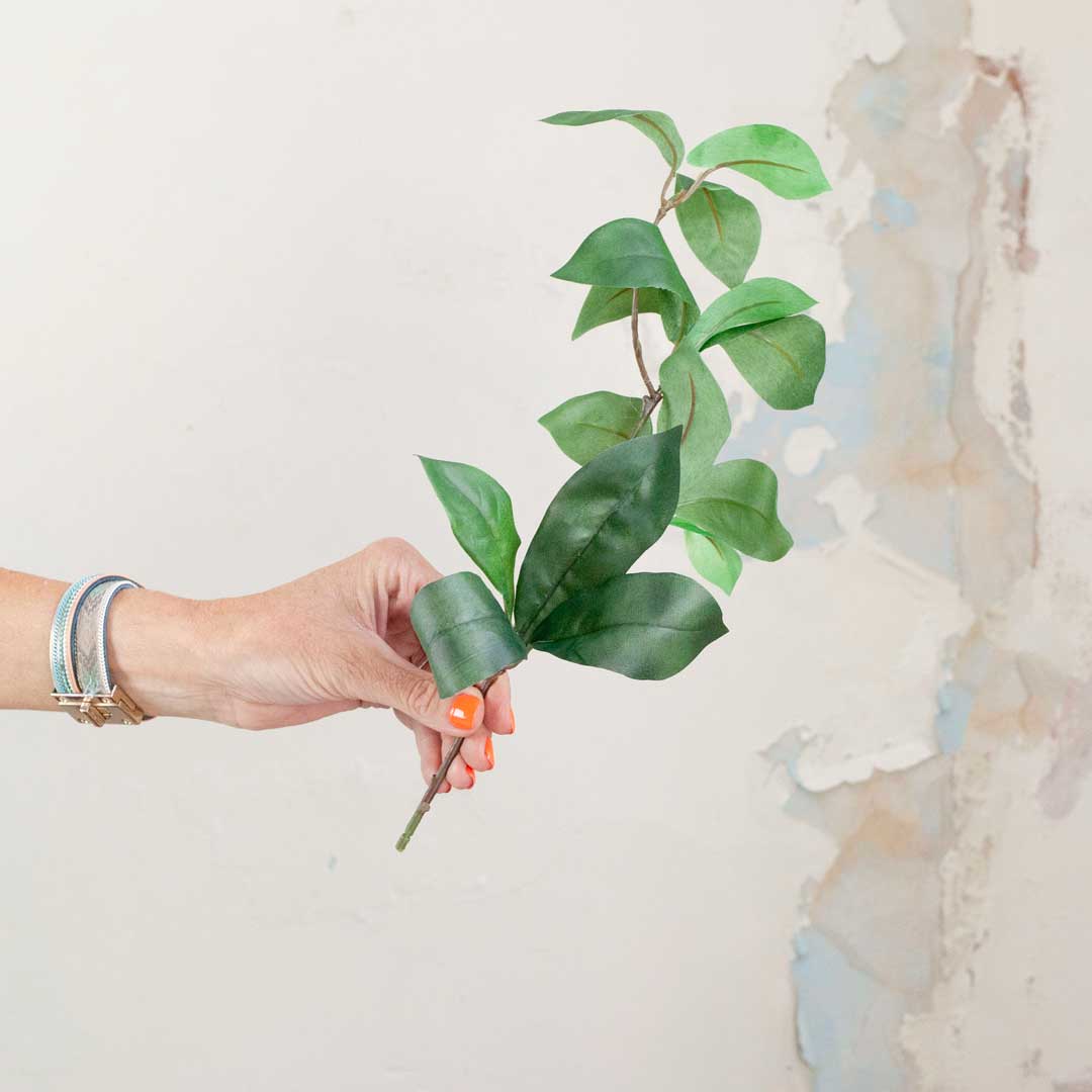 Green Laurel Leaves Peony