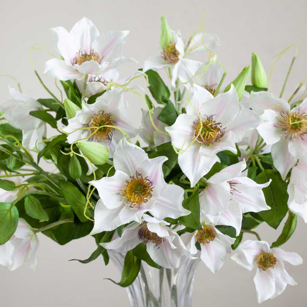 Cream / White Clematis Spray with Buds and Leaves Peony