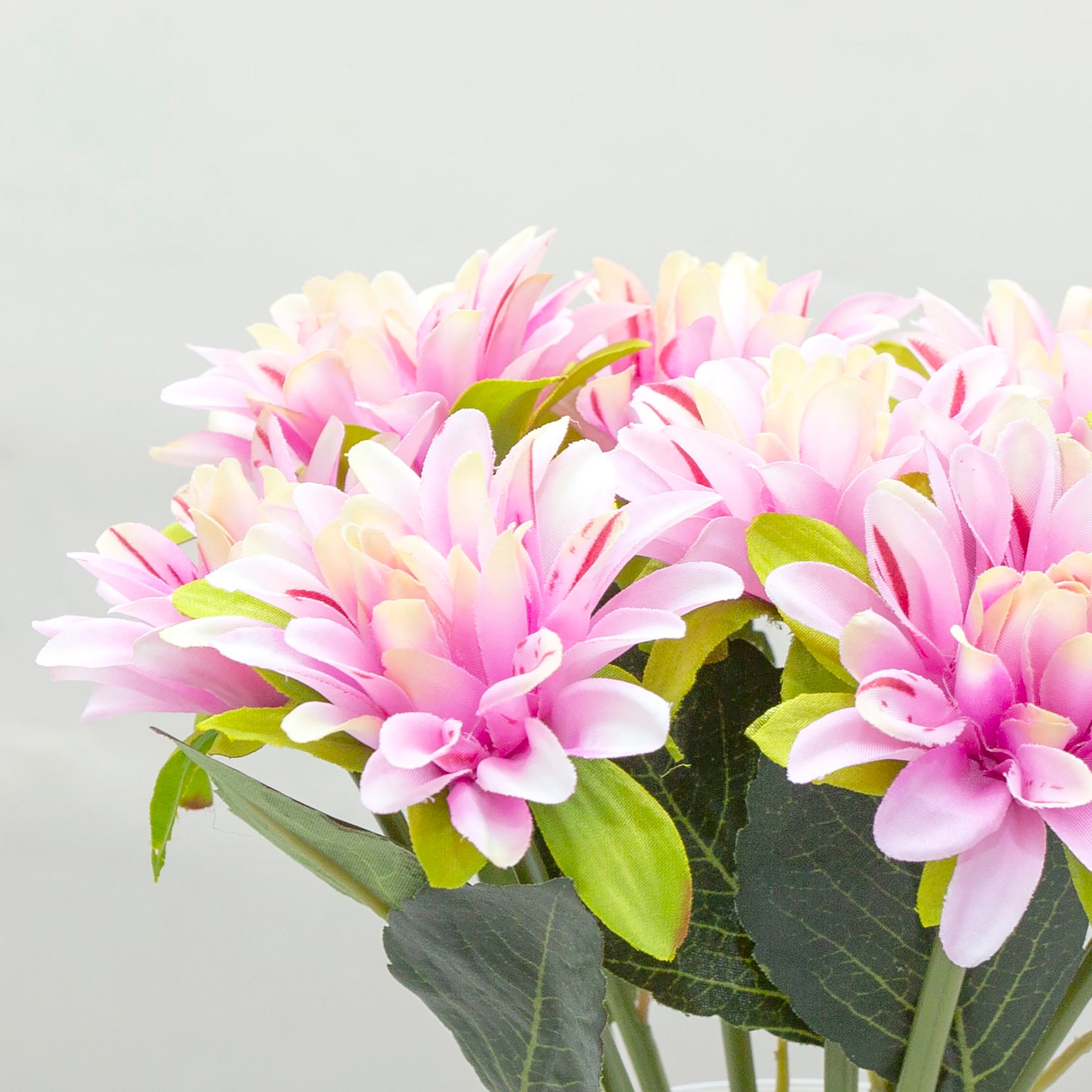 Close up of artificial pink Dahlia stems showing detail