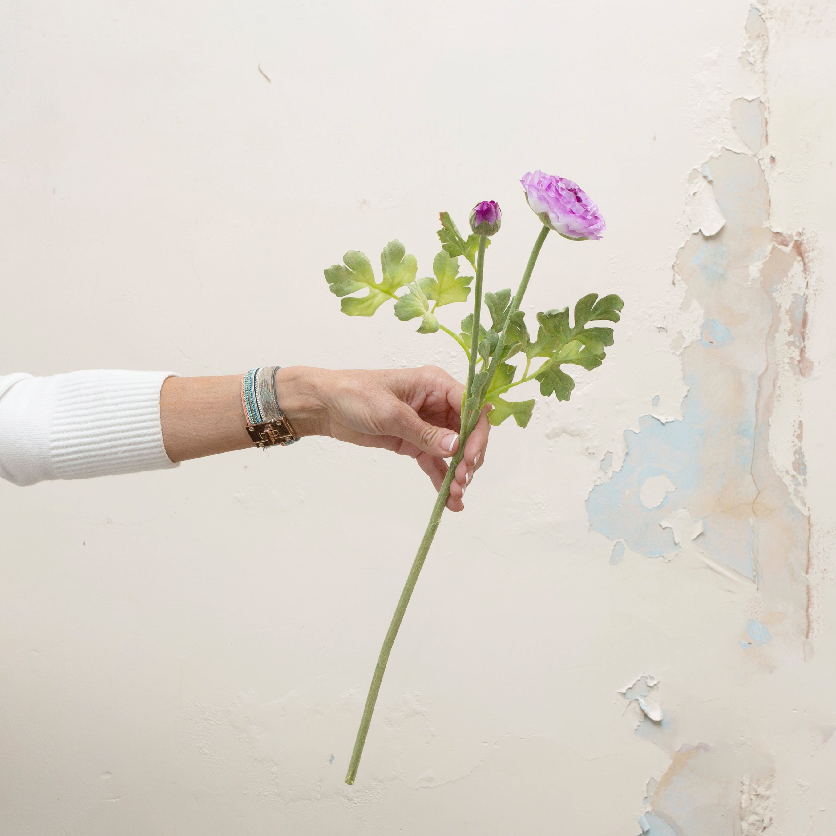 Ranunculas with buds and foliage in a vibrant lavender. Peony