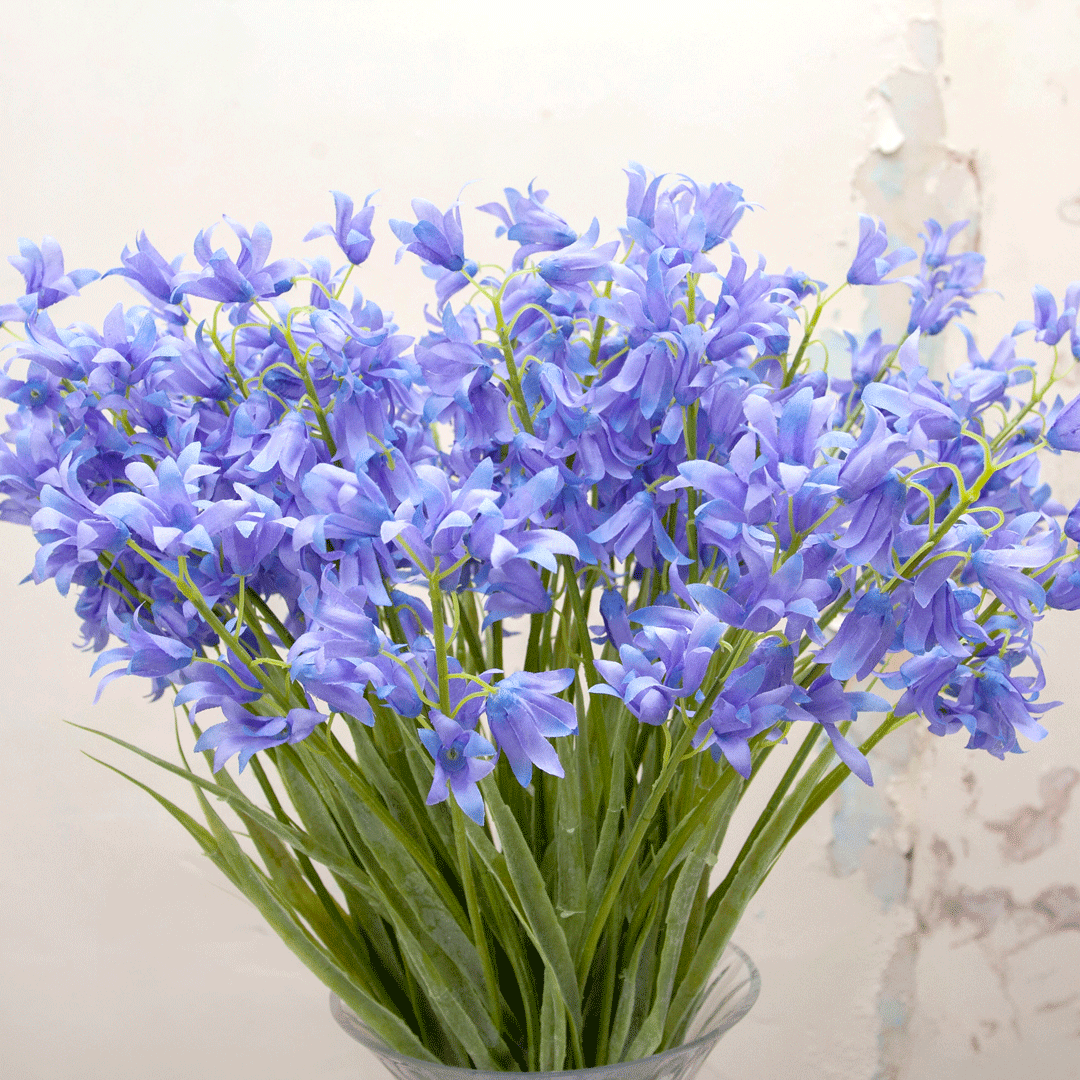 Bluebells with leaves Peony