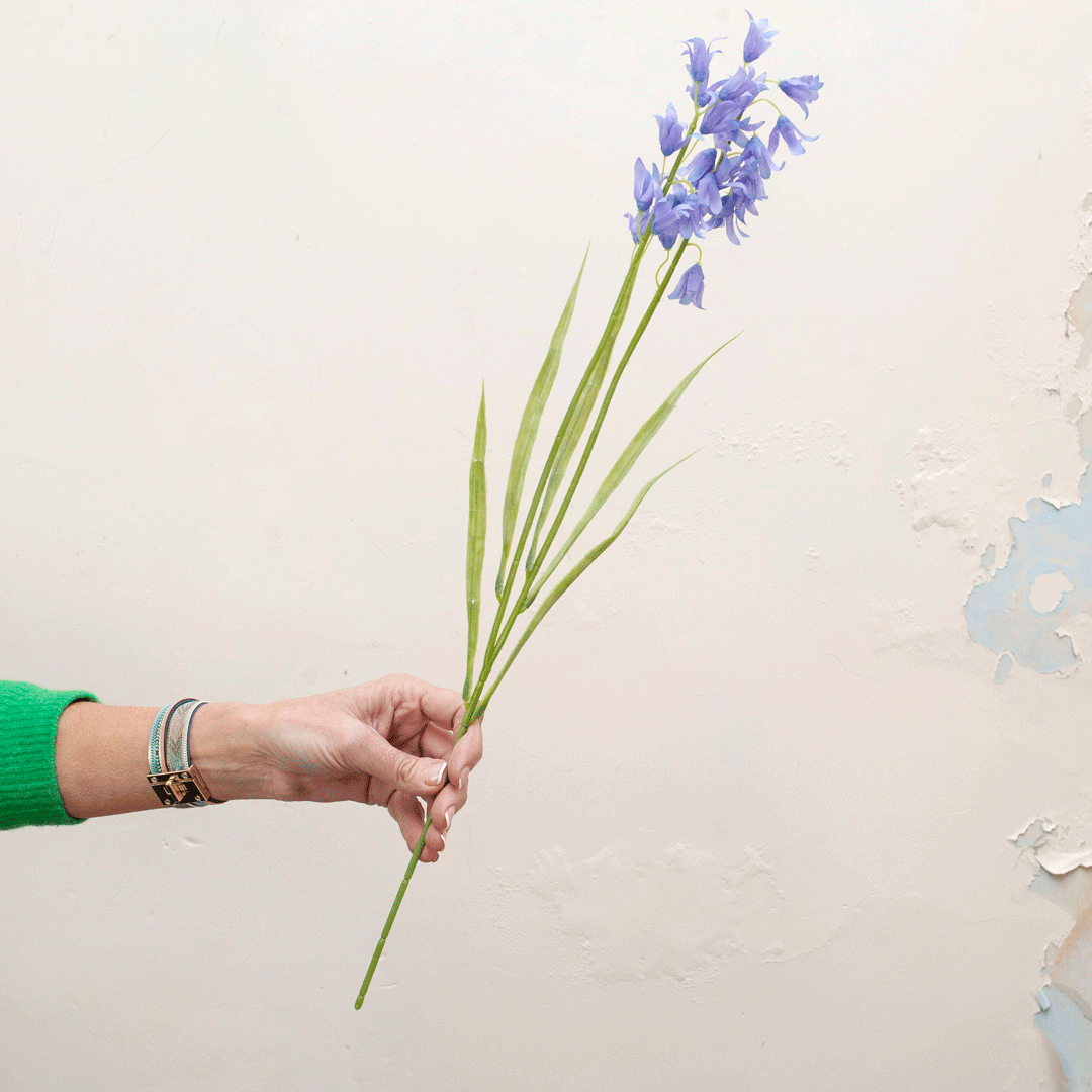 Bluebells with leaves Peony
