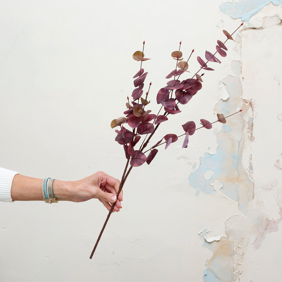 Red eucalyptus stem.