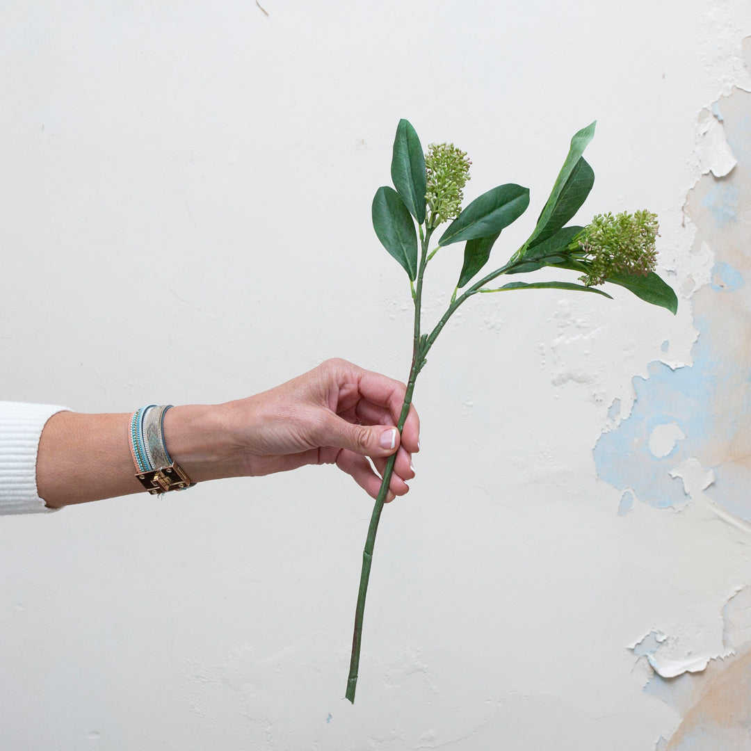 Real touch green skimmia berries with leaves.