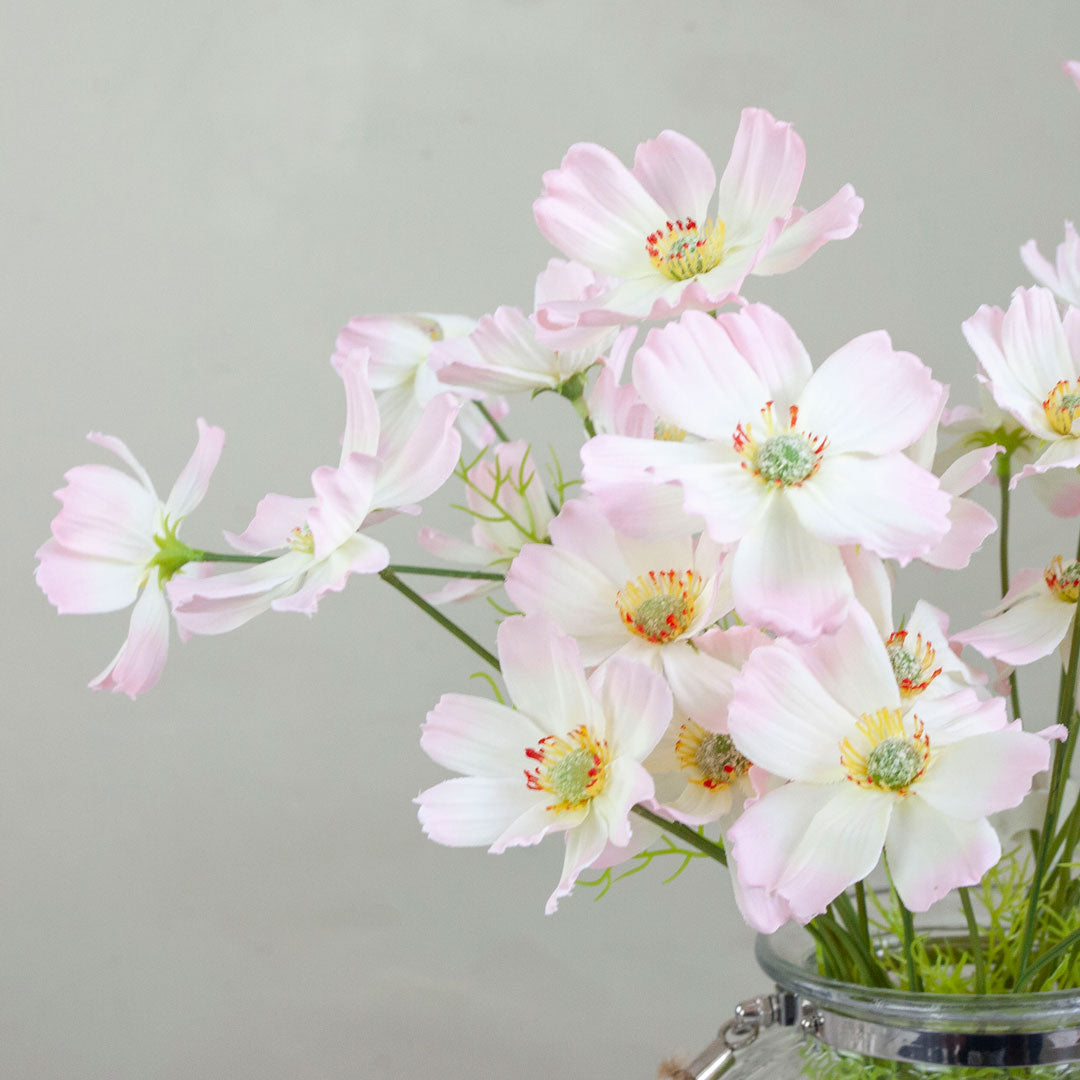 Pale Pink Cosmos Stem with Greenery Peony