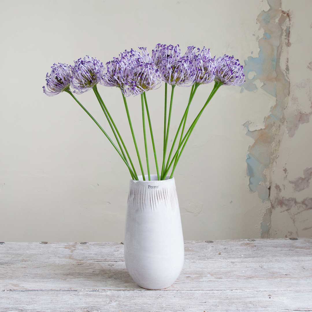Purple Protea on a Long Stem Peony