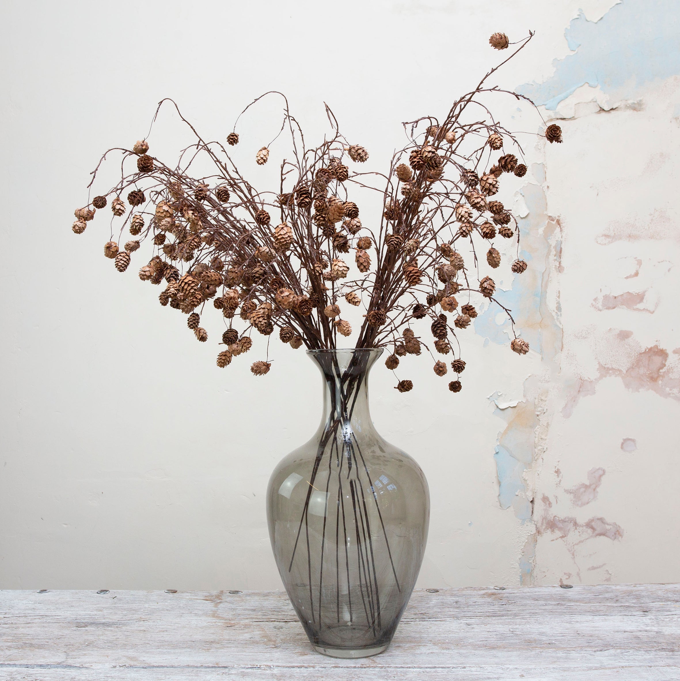 Long Stemmed, Pine Cones on a Woody Branch. Peony
