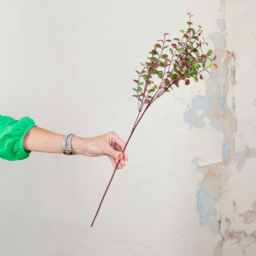 Red / Brown Eucalyptus Spray Peony
