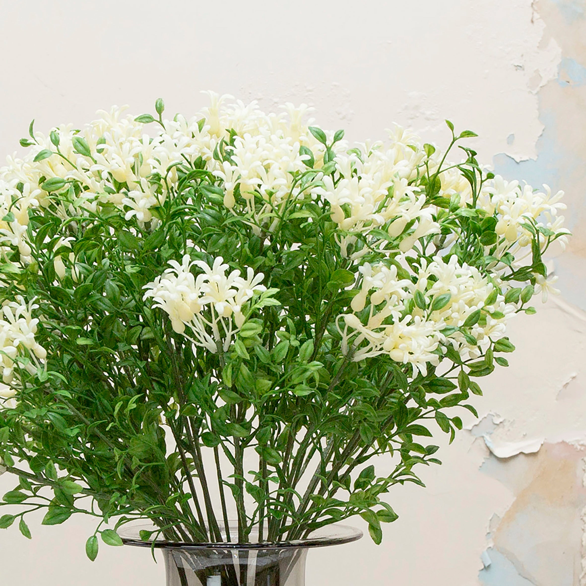 White jasmine with leaves. Peony