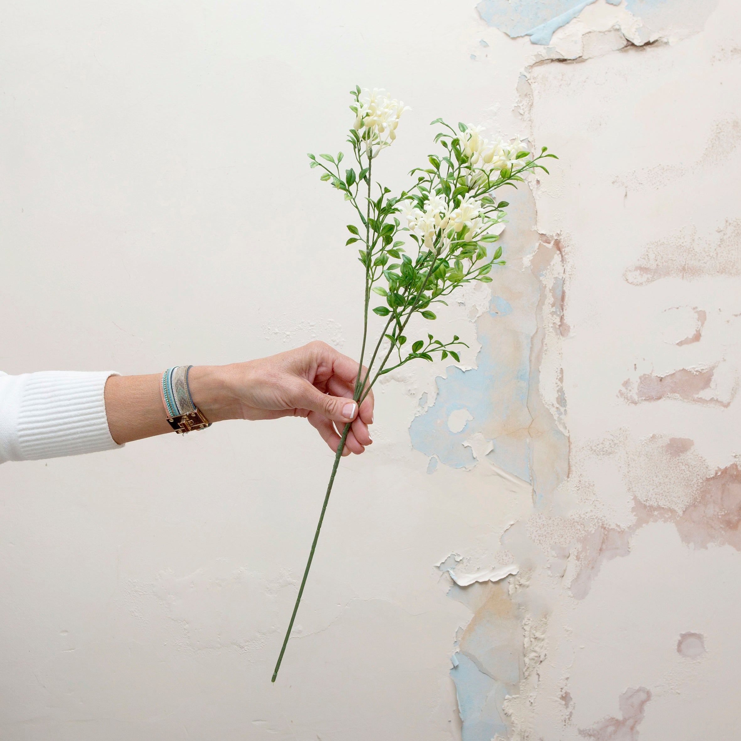 White jasmine with leaves. Peony