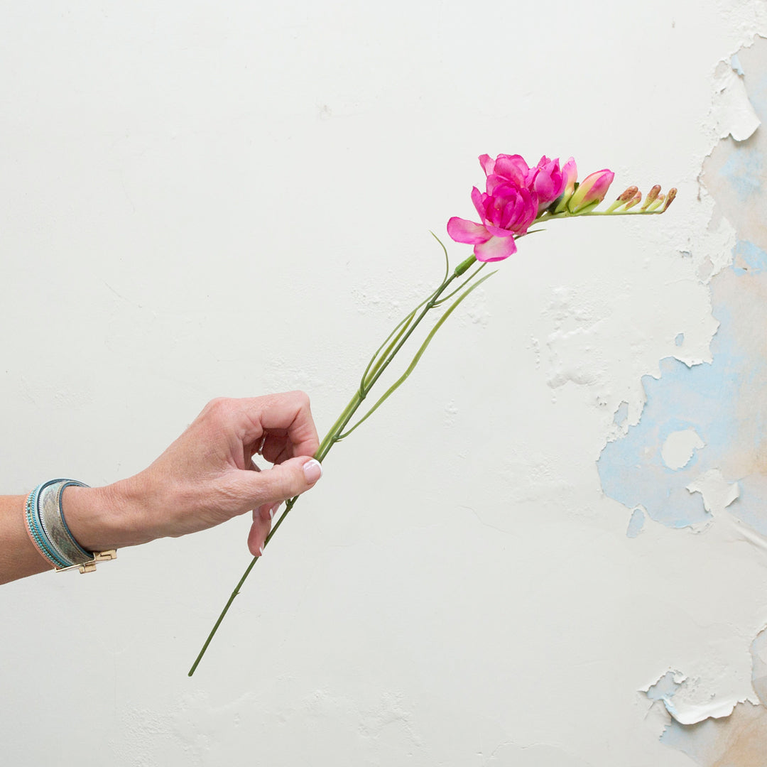 Orange pretty fressias with leaves.