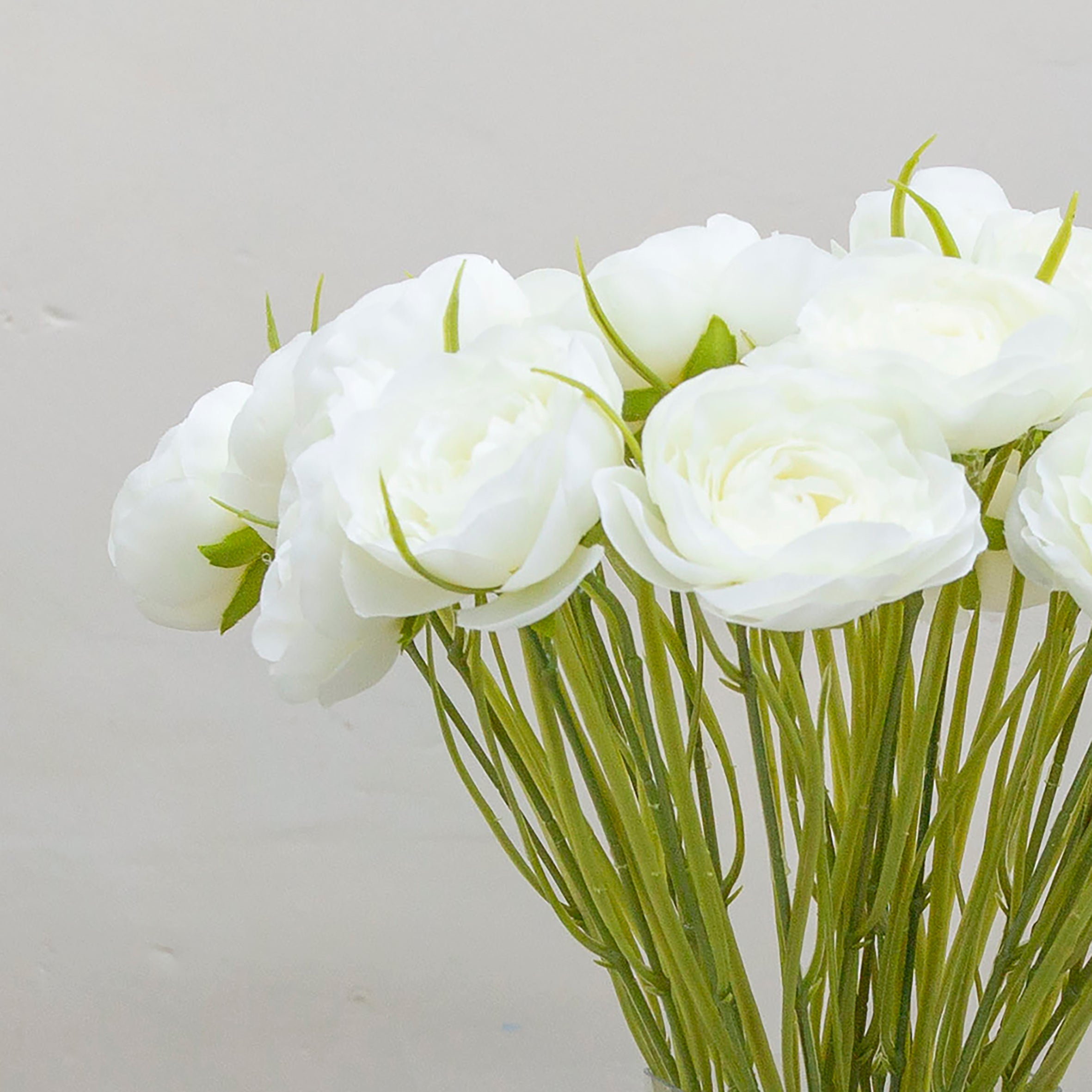 Bridal white ranuncula. Peony