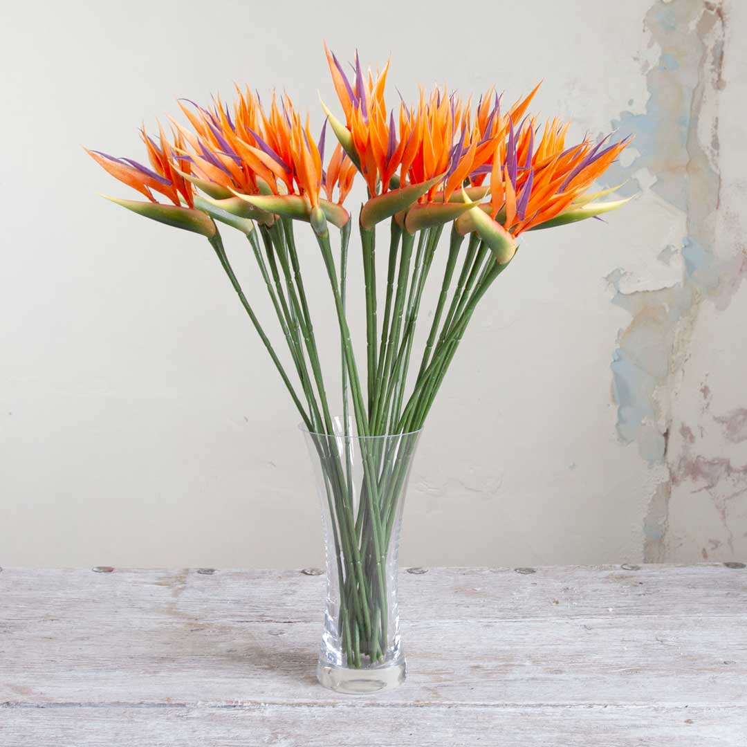 Orange Bird Of Paradise on a Long Stem Peony