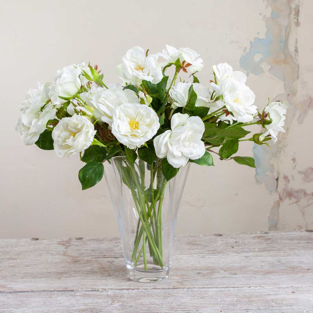 Bridal White Old English Rose with Buds and Leaves on a Long Stem Peony