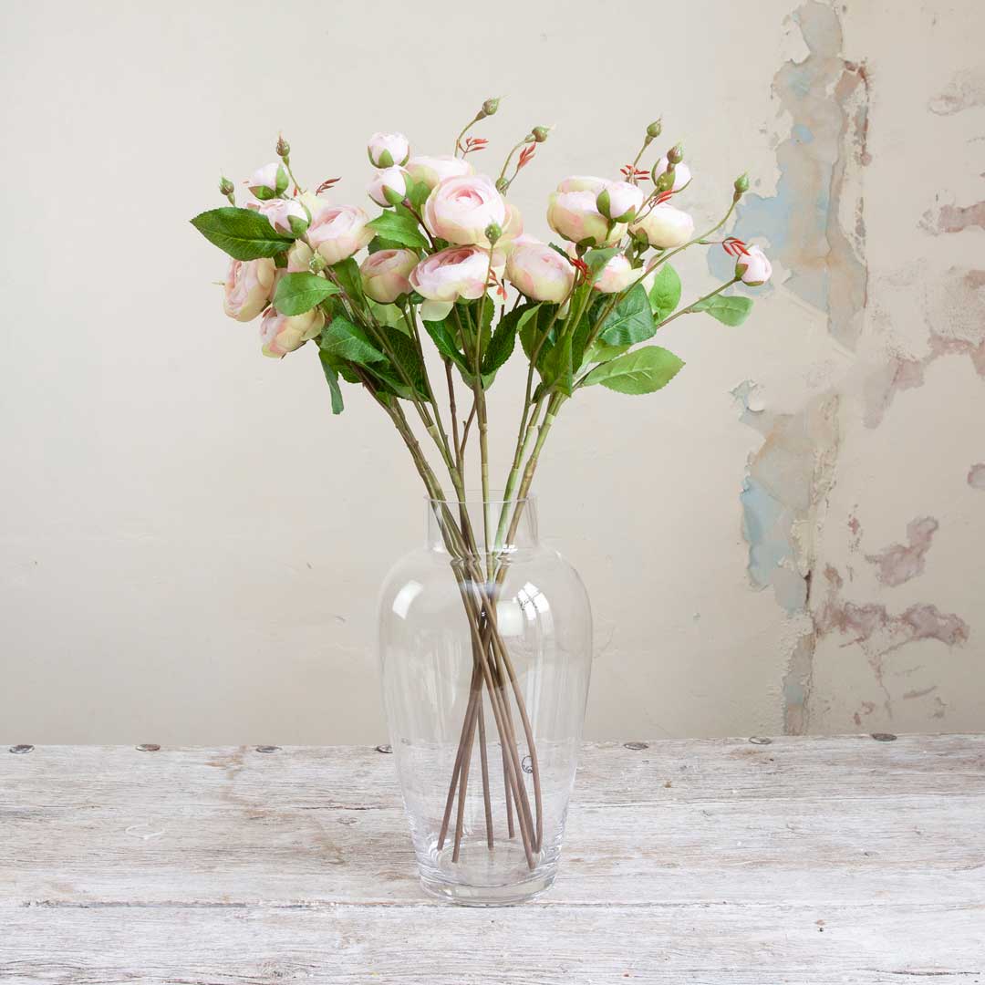 Pale Pink Ranunculus Stem with Buds and Leaves Peony
