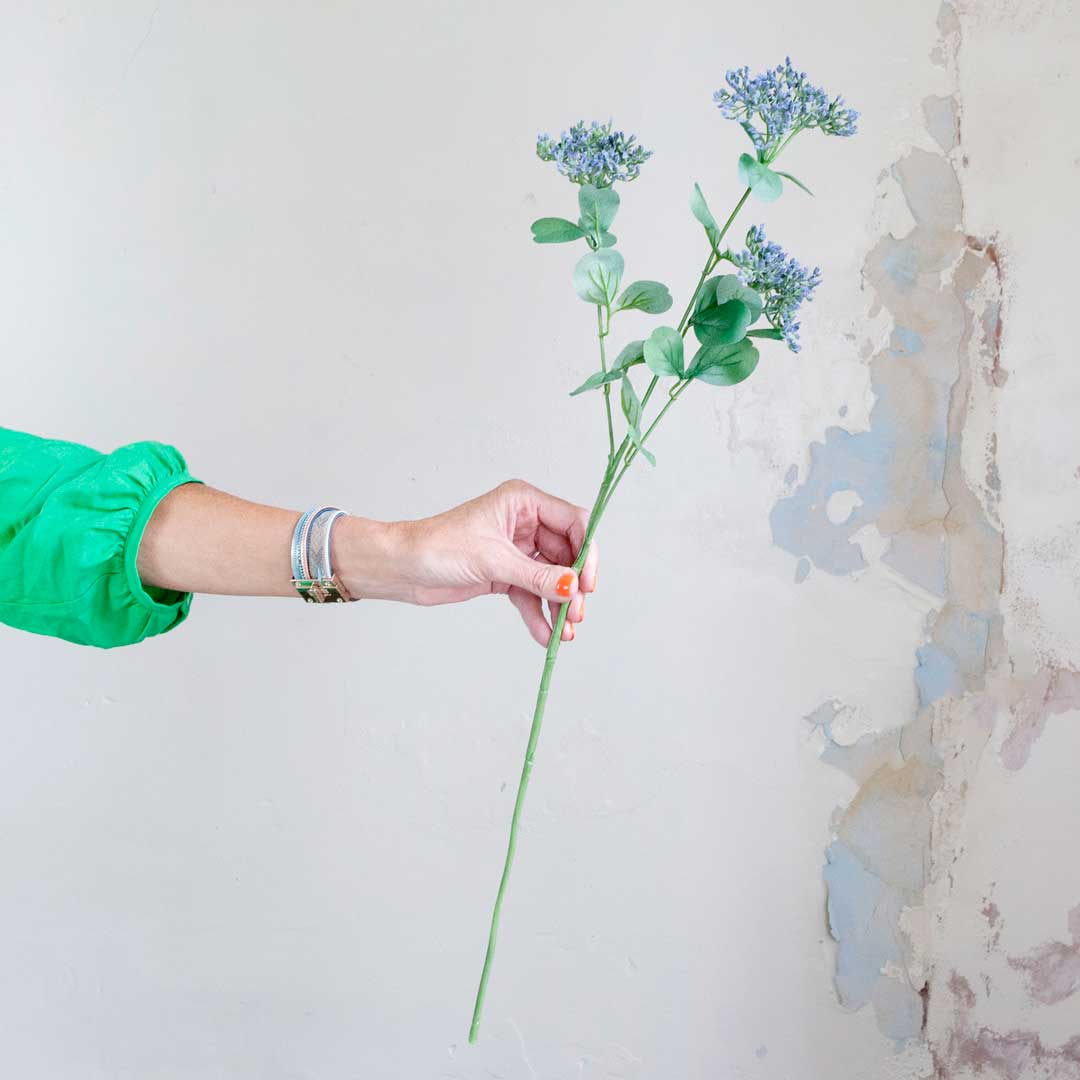 Achillea with Blue Berries and Leaves on a Long Stem Peony