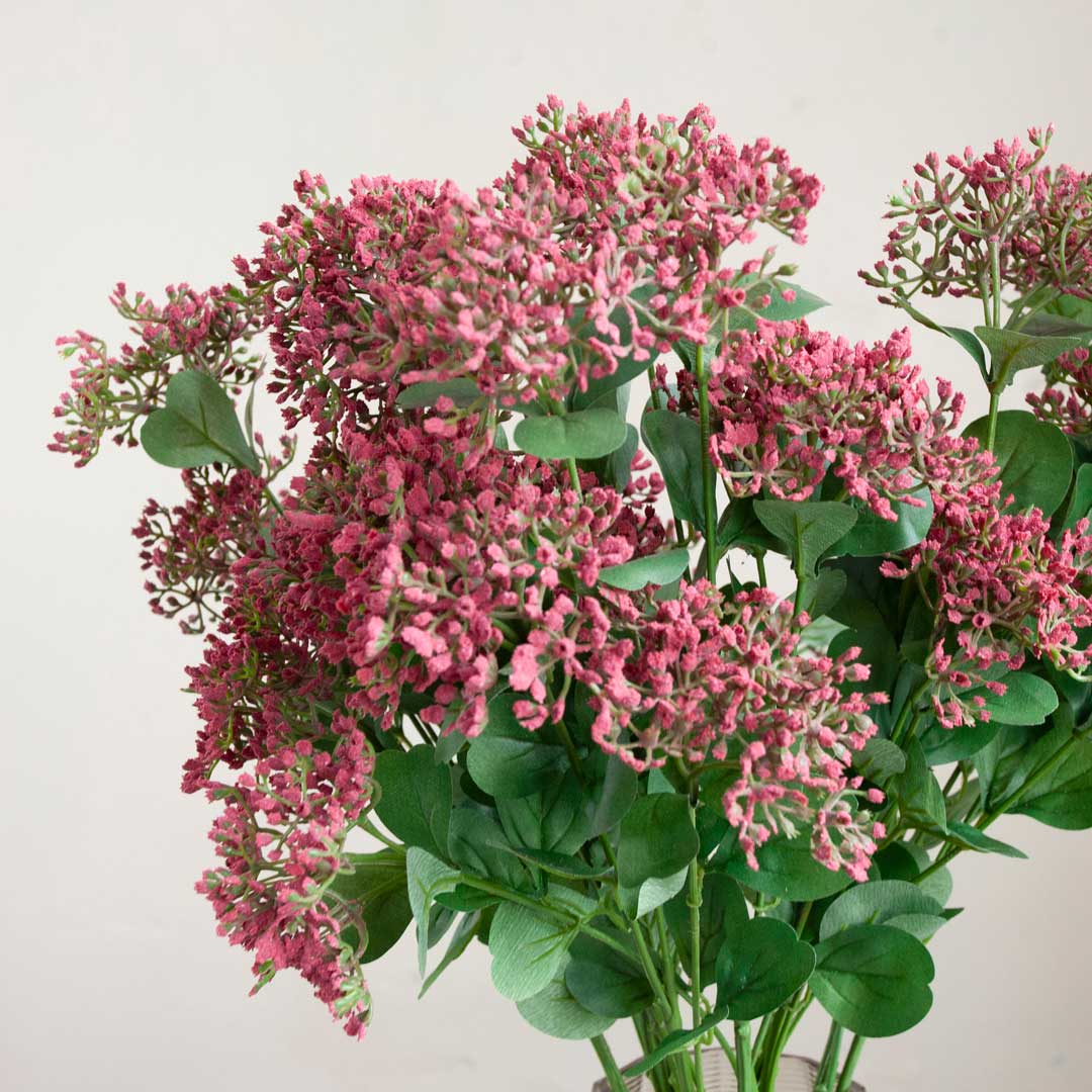 Achillea with Dark Pink Berries and Leaves on a Long Stem Peony