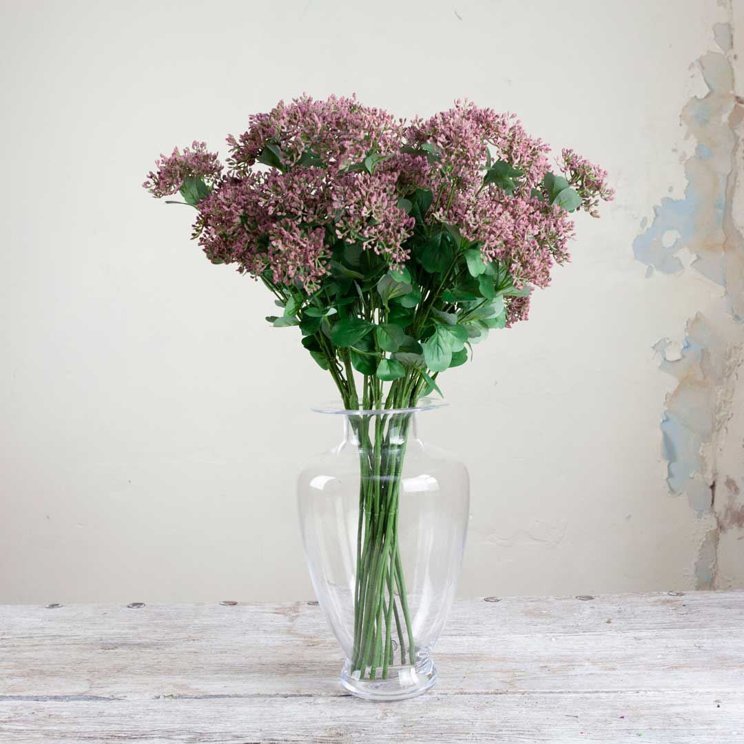 Achillea with Burgundy Berries and Leaves on a Long Stem Peony
