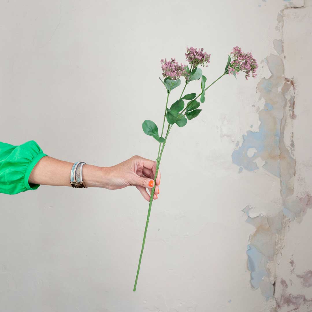 Achillea with Burgundy Berries and Leaves on a Long Stem Peony