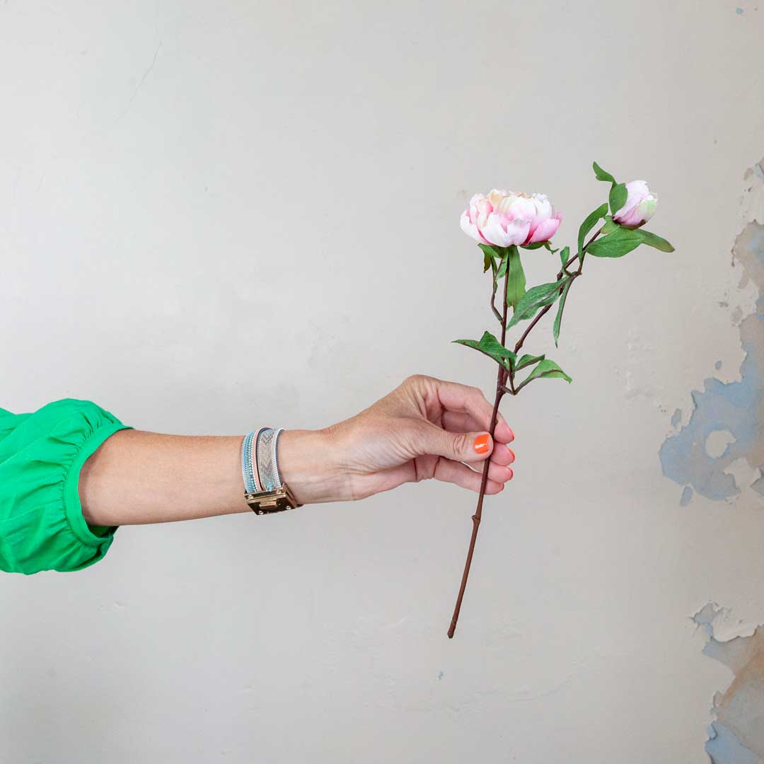 Pale Pink Peony Stem with Buds and Leaves Peony