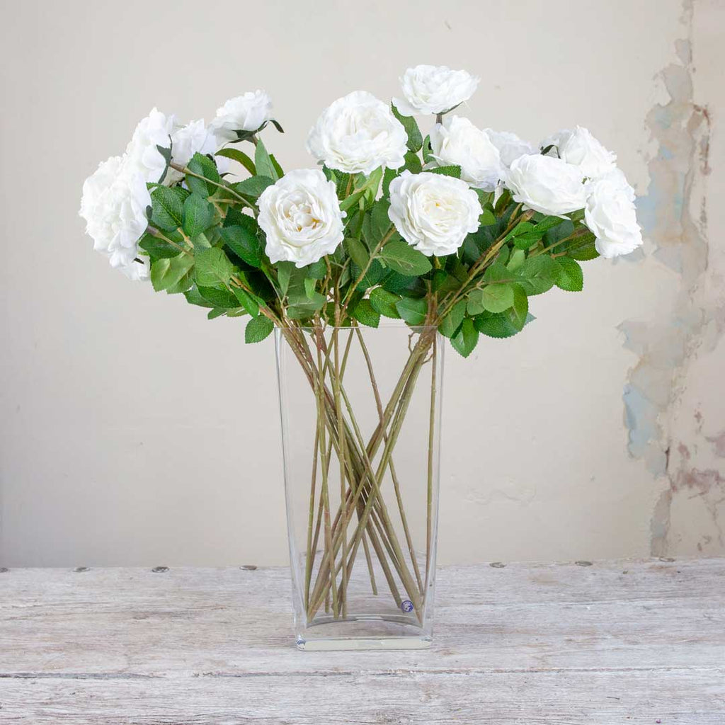 Bridal White Old English Rose with Leaves on a Long Stem Peony