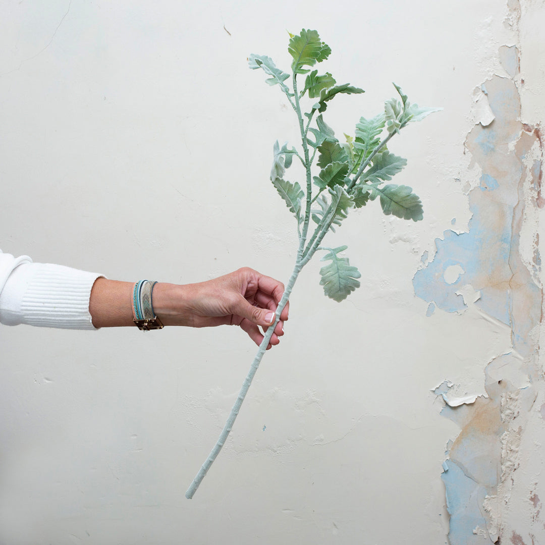 Real touch green dusty miller.