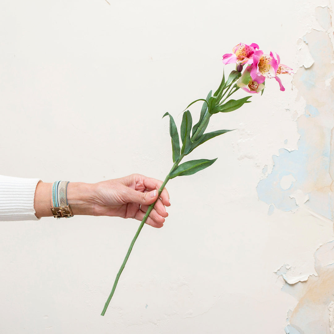 Pink alstromeria with leaves.