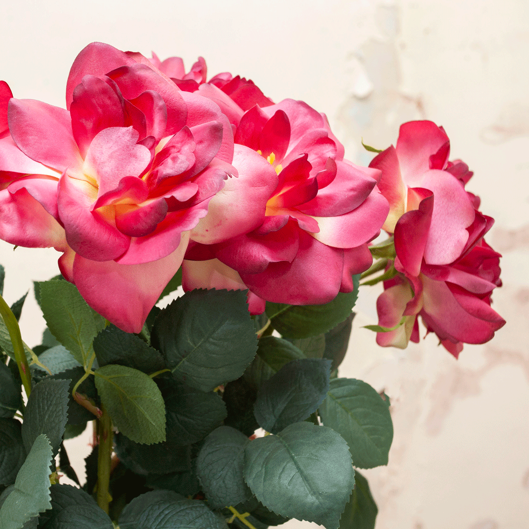 Real touch fuchsia rose stem with leaves Peony
