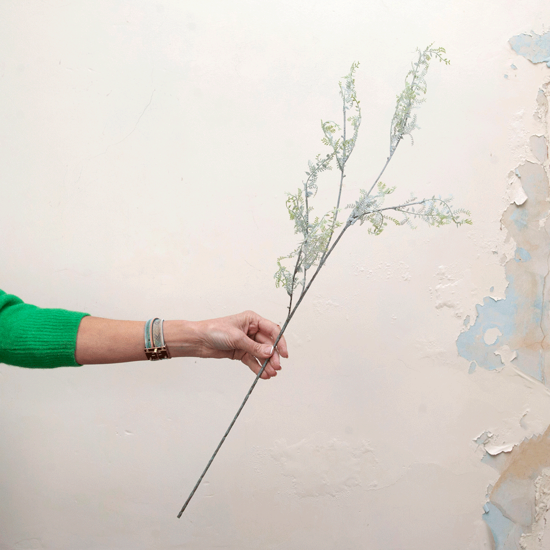 Fern foliage in pale green Peony