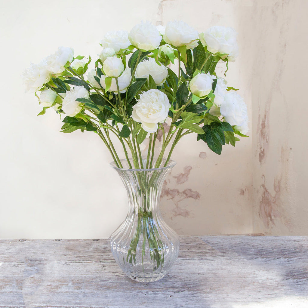 White Peonies with Buds and Foliage on a Long Stem Peony