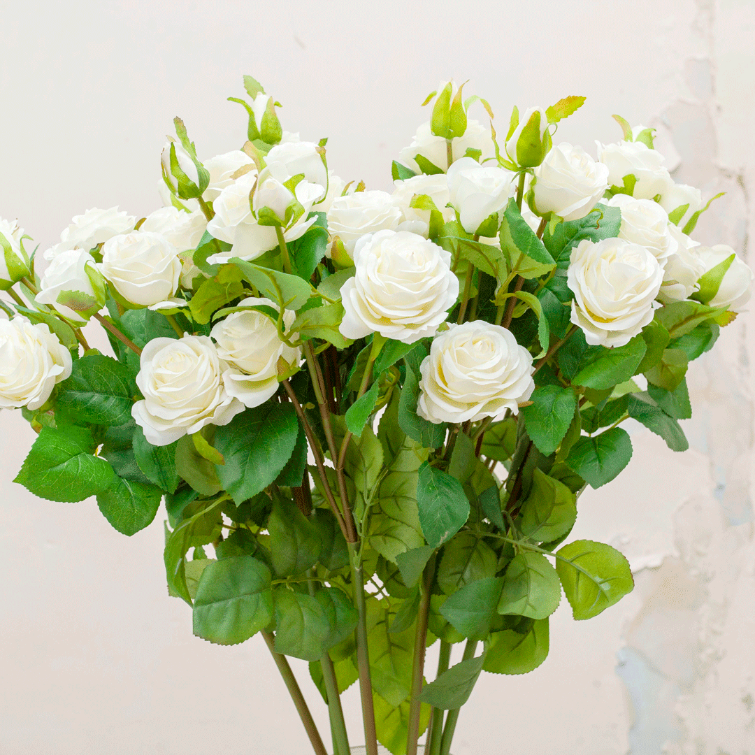 Bridal white multi head rose with leaves Peony