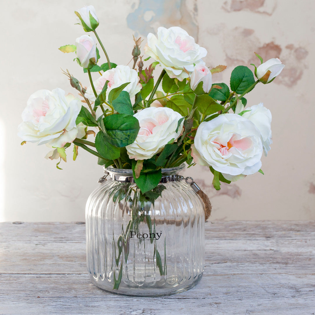Cream Old English Rose Stem Peony