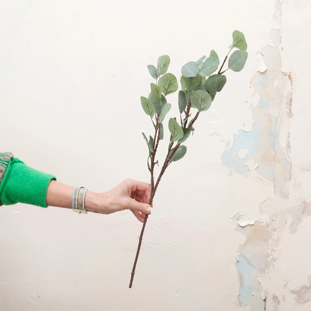 Eucalyptus spray stem Peony