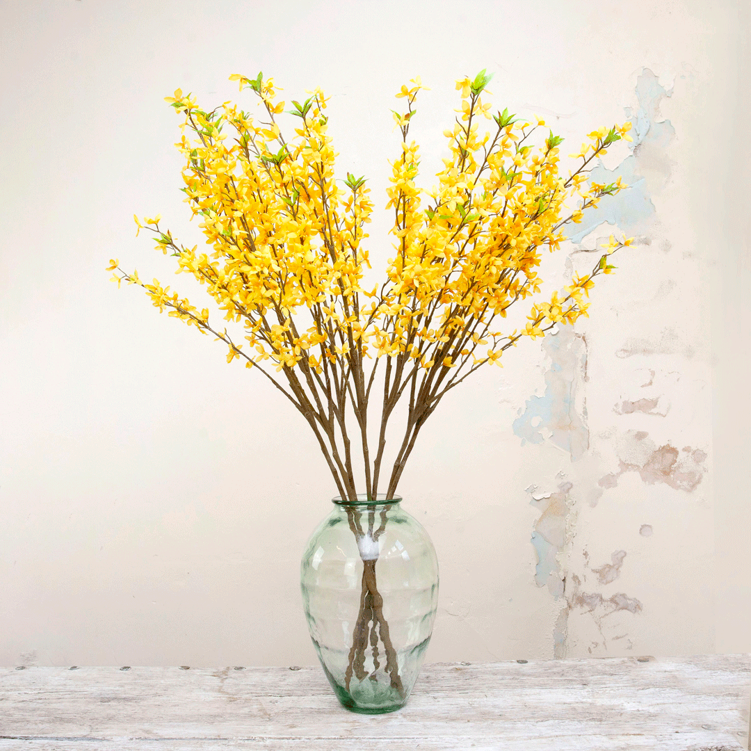 Yellow long stemmed forsythia Peony