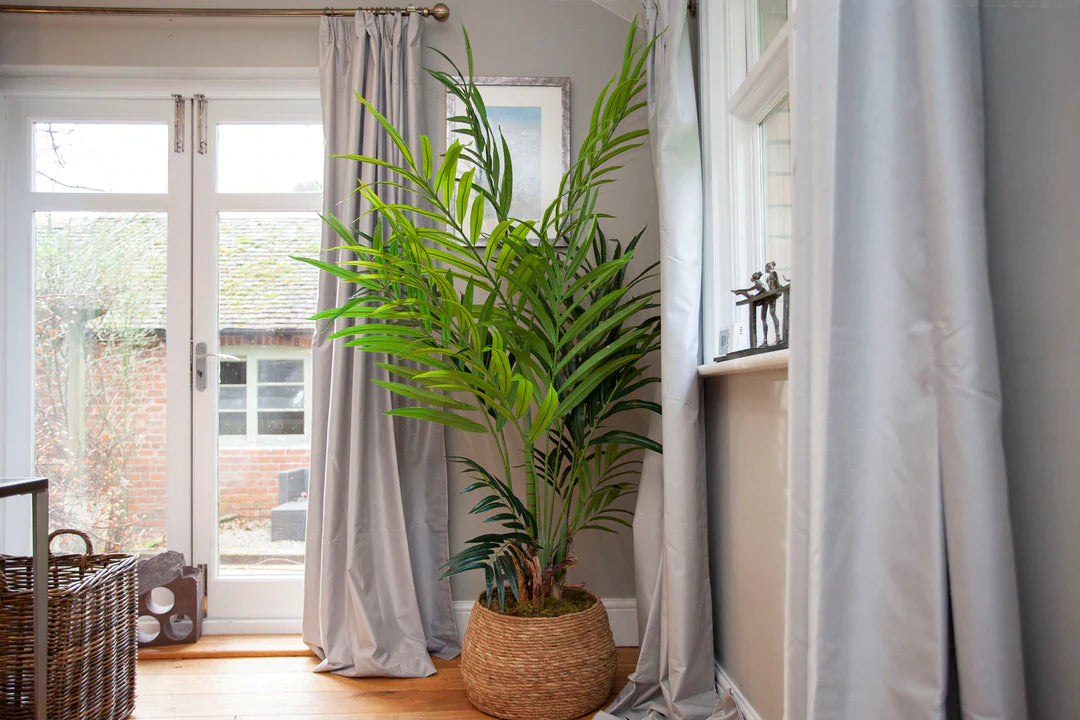 The Mood Boosting Power of Green
