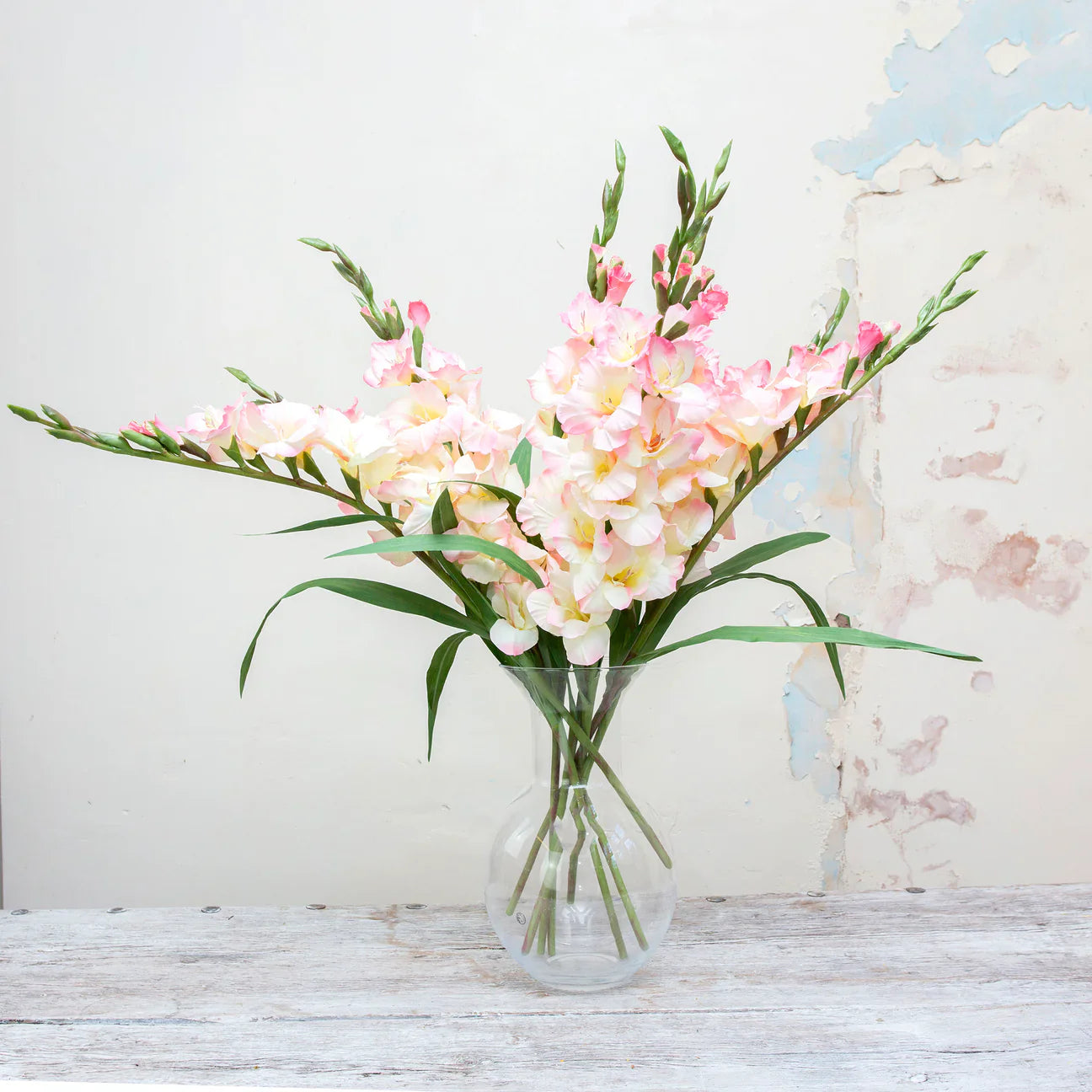 August Birth Flower: The Gladiolus