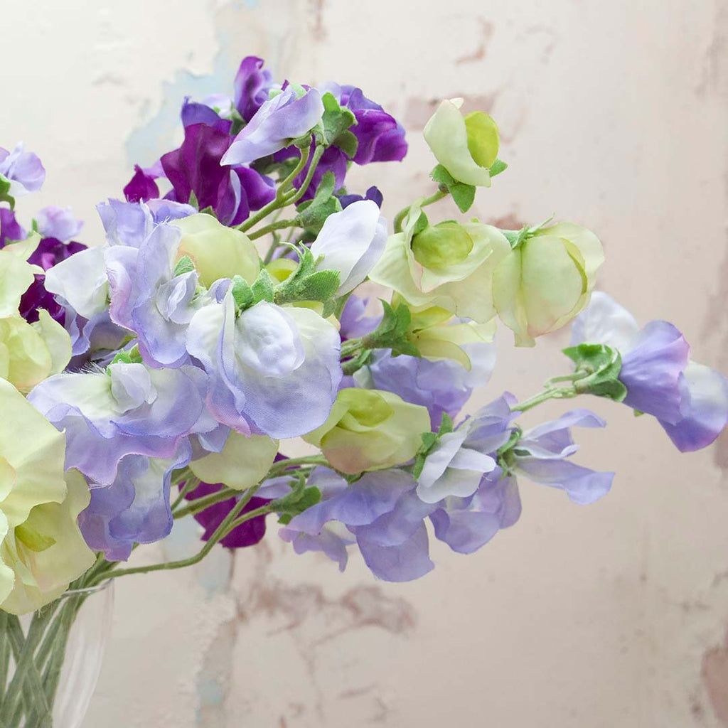 April is the Month of the Highly Scented Sweet Pea