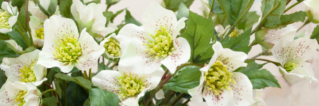 New Year, New Beginnings