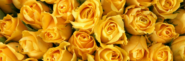 Enjoy Rose Season All Year Round with Peony Faux Flowers