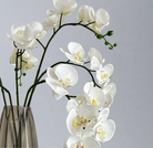 Close-up of artificial white orchid flowers, showing soft bridal white petals, subtle yellow centres and natural veining.
