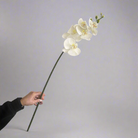 Artificial white orchid stem being held in hand, featuring open orchid blooms and unopened buds on a long slender stem.