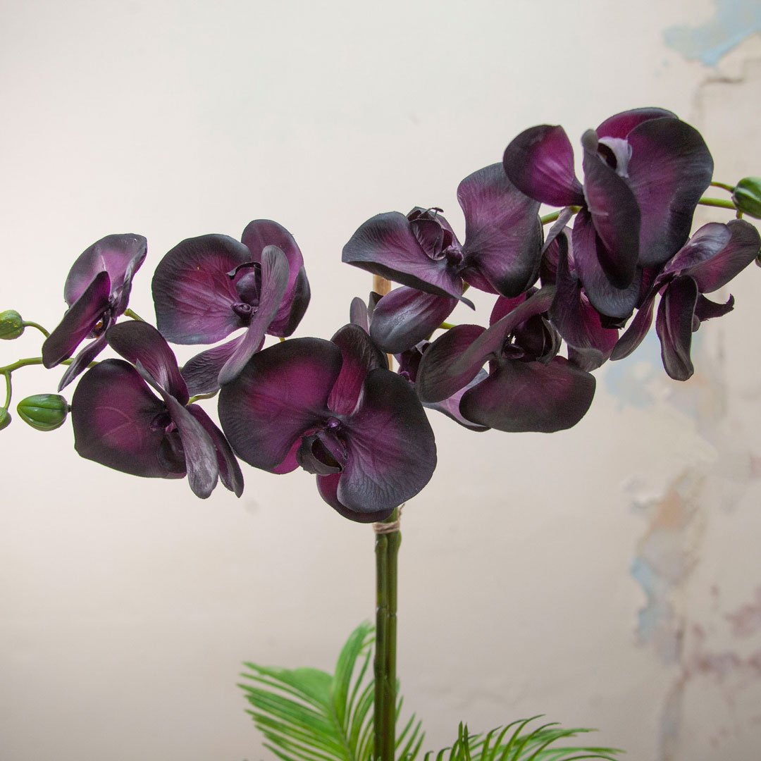 Close up of Artificial Black Phalaenopsis Orchid in a Rose Gold Ceramic Vase 