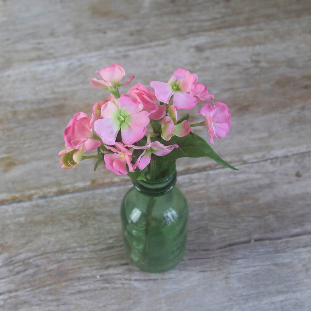 Pink Phlox in a Recycled Green Glass Bottle Vase Close up