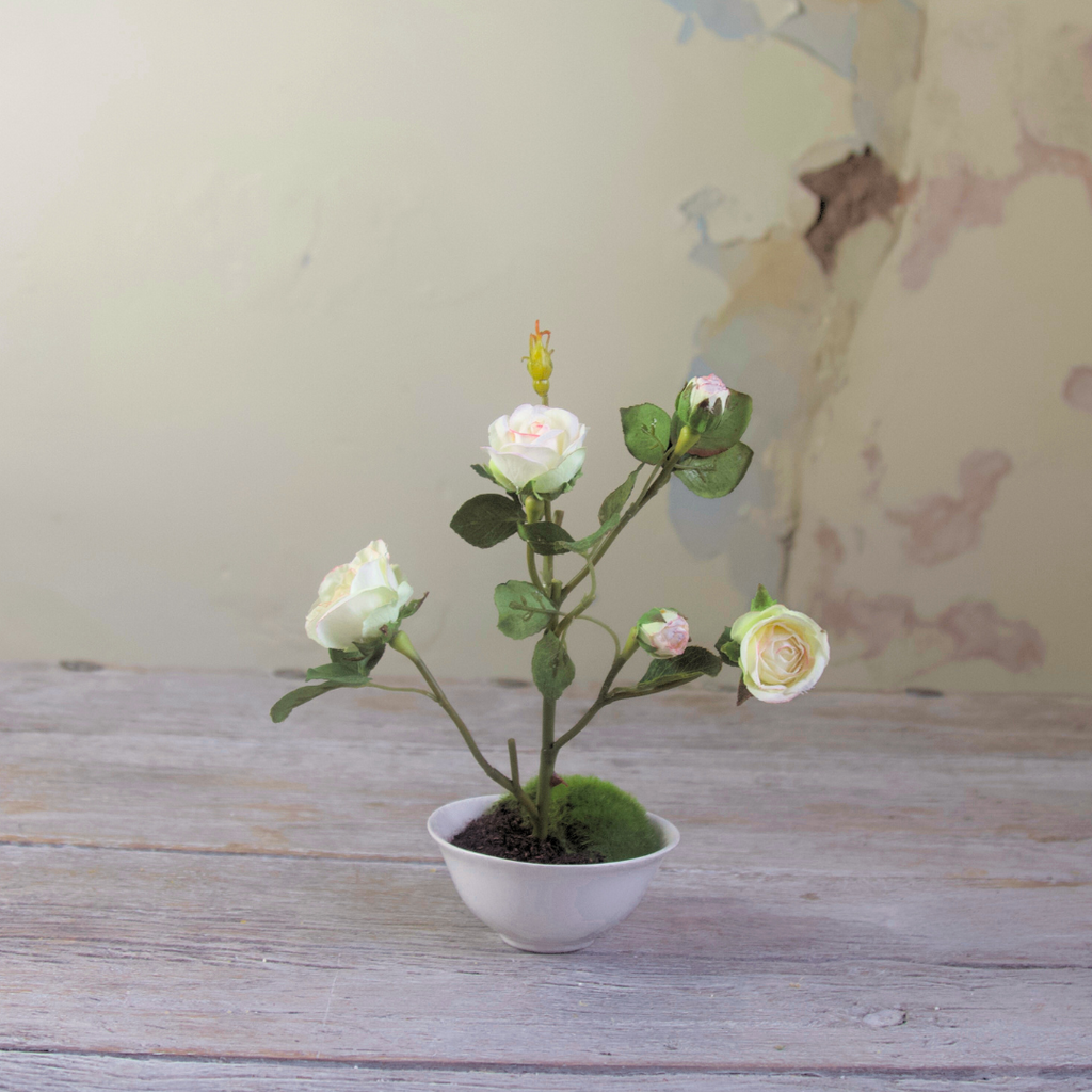 Mini White Rose in Rice Bowl with Moss