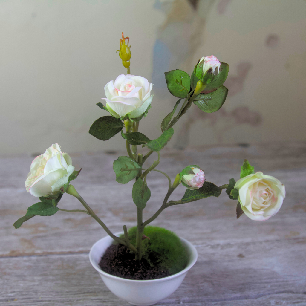 Mini White Rose in Rice Bowl with Moss