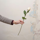 Artificial open rose bud stem held in hand, featuring a soft blush and cream rose bud with green foliage