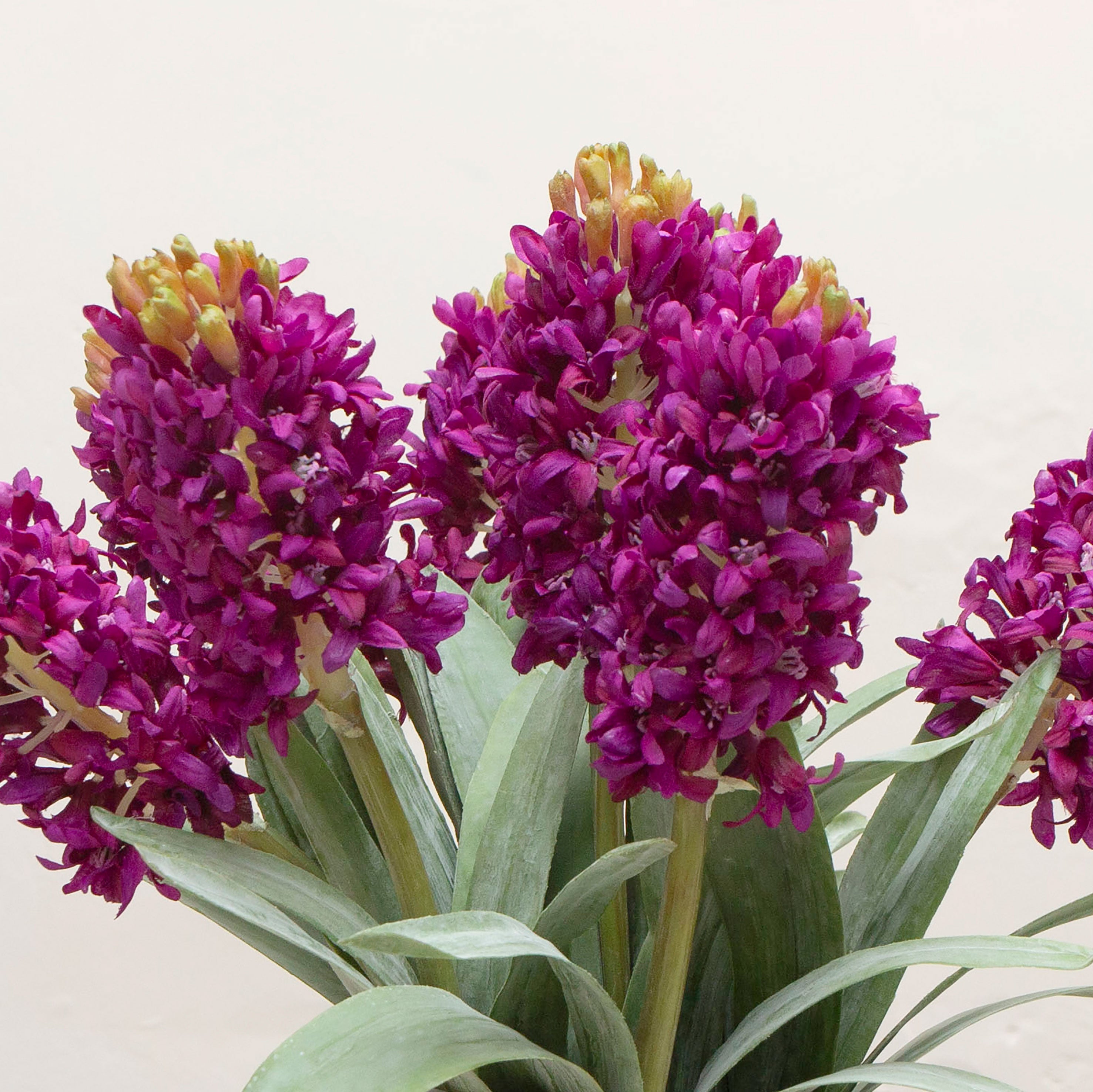 Close-up of artificial purple hyacinth flowers showing clustered blooms and colour detail