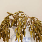 Close up of artificial green birch foliage spray stem displayed in a blue and white floral ceramic vase